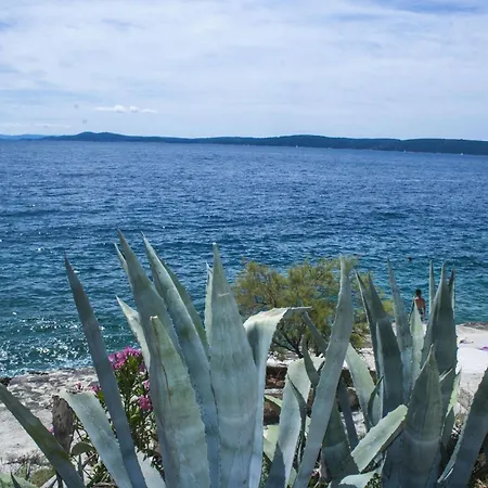 Daniela - Terrace With Amazing Sea View Apartment *