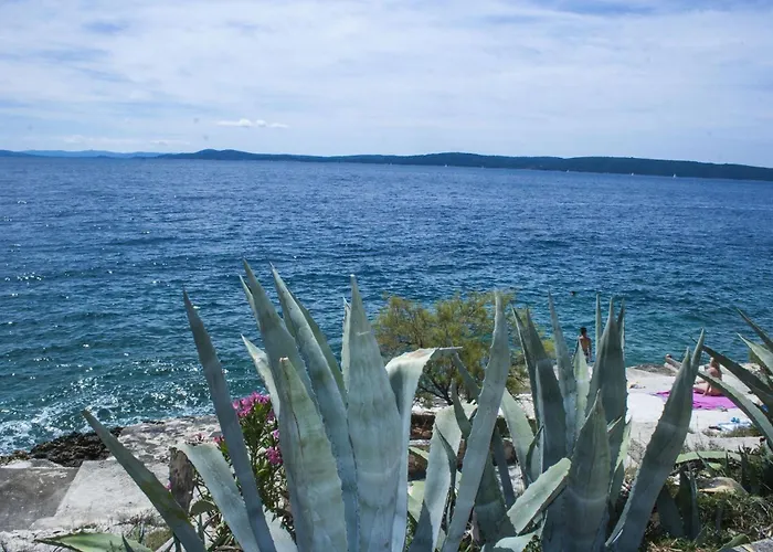 Daniela Διαμέρισμα *