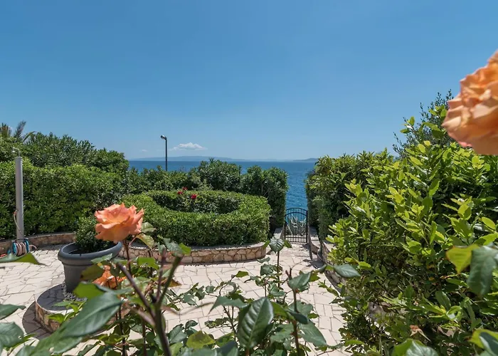 Daniela * Τρογκίρ